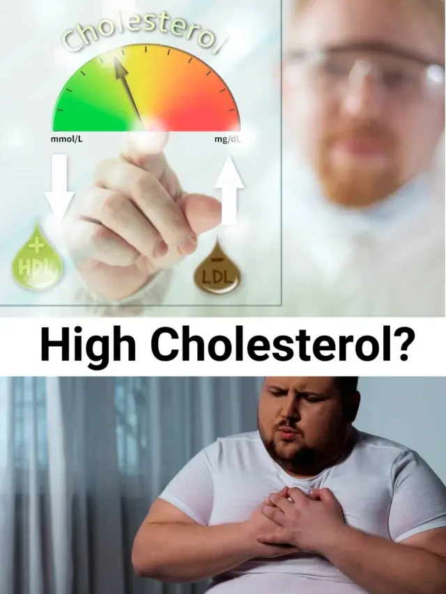 Control Your Cholesterol Level Today